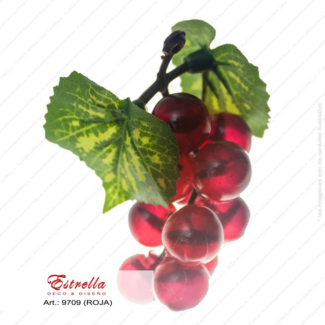 Racimo de uvas - Imagen 3