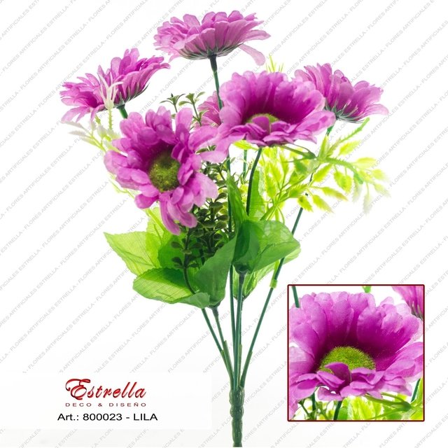 Margarita con helecho - Imagen 7