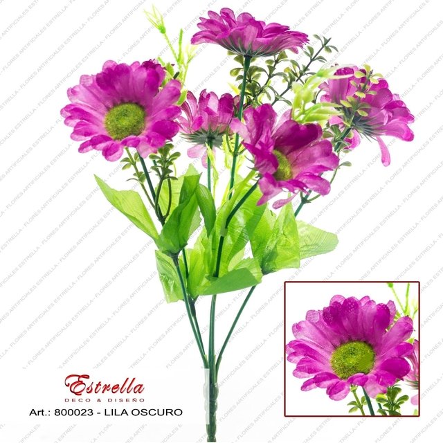 Margarita con helecho - Imagen 6