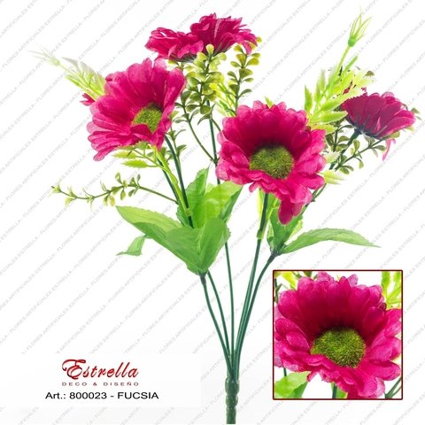 Margarita con helecho - Imagen 5