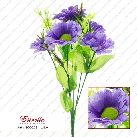 Margarita con helecho - Imagen 3