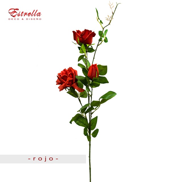 Rosas rojas - Imagen 2