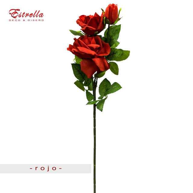 Rosas x 2 - Imagen 2