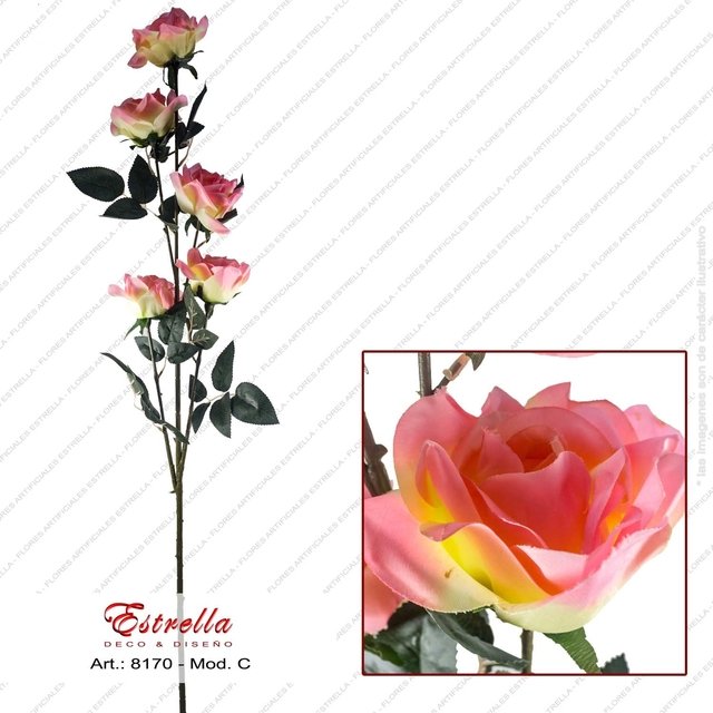 Rosas x 5 - Imagen 4