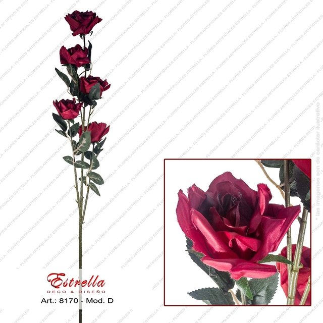 Rosas x 5 - Imagen 5