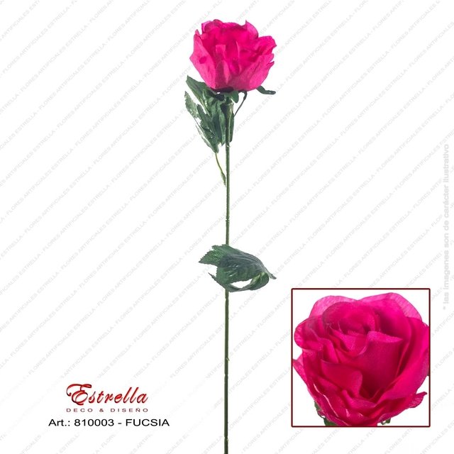 Rosa Tallo largo - Imagen 2