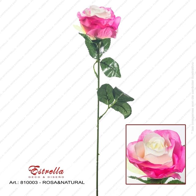 Rosa Tallo largo - Imagen 3