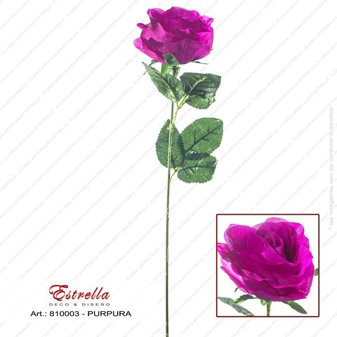 Rosa Tallo largo - Imagen 4