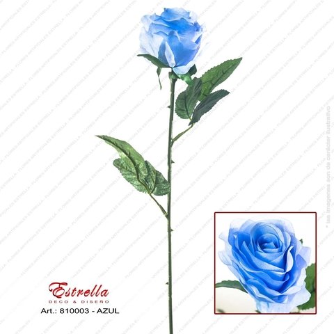 Rosa Tallo largo - Imagen 6