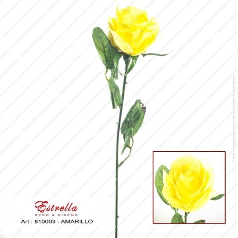 Rosa Tallo largo - Imagen 7