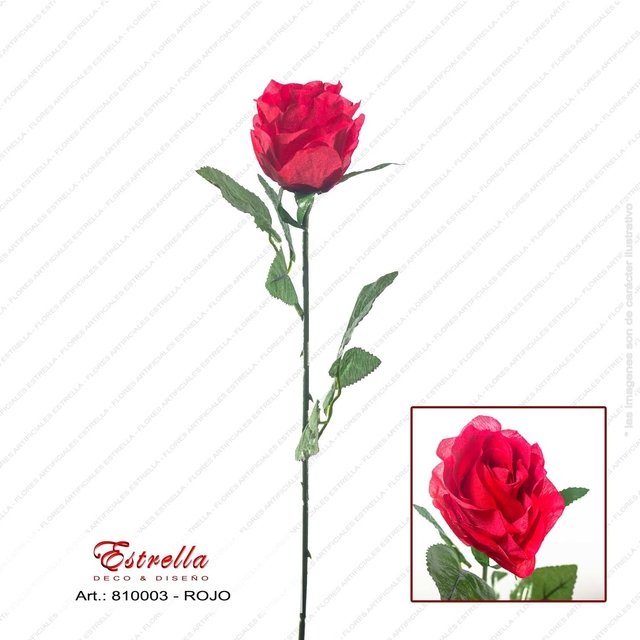 Rosa Tallo largo - Imagen 8