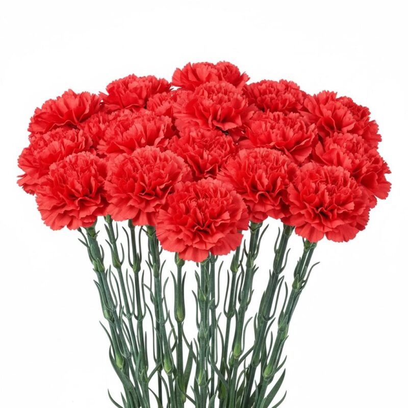 Vara Claveles Rojos Artificiales Realistas Decoración Centro De Mesa Cementerio Hogar