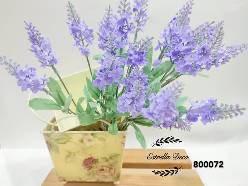 Lavanda - Imagen 2