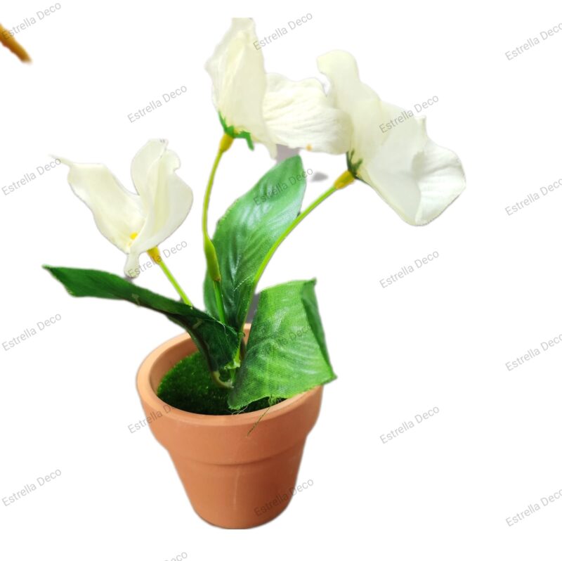 Maceta con magnolias - Imagen 5