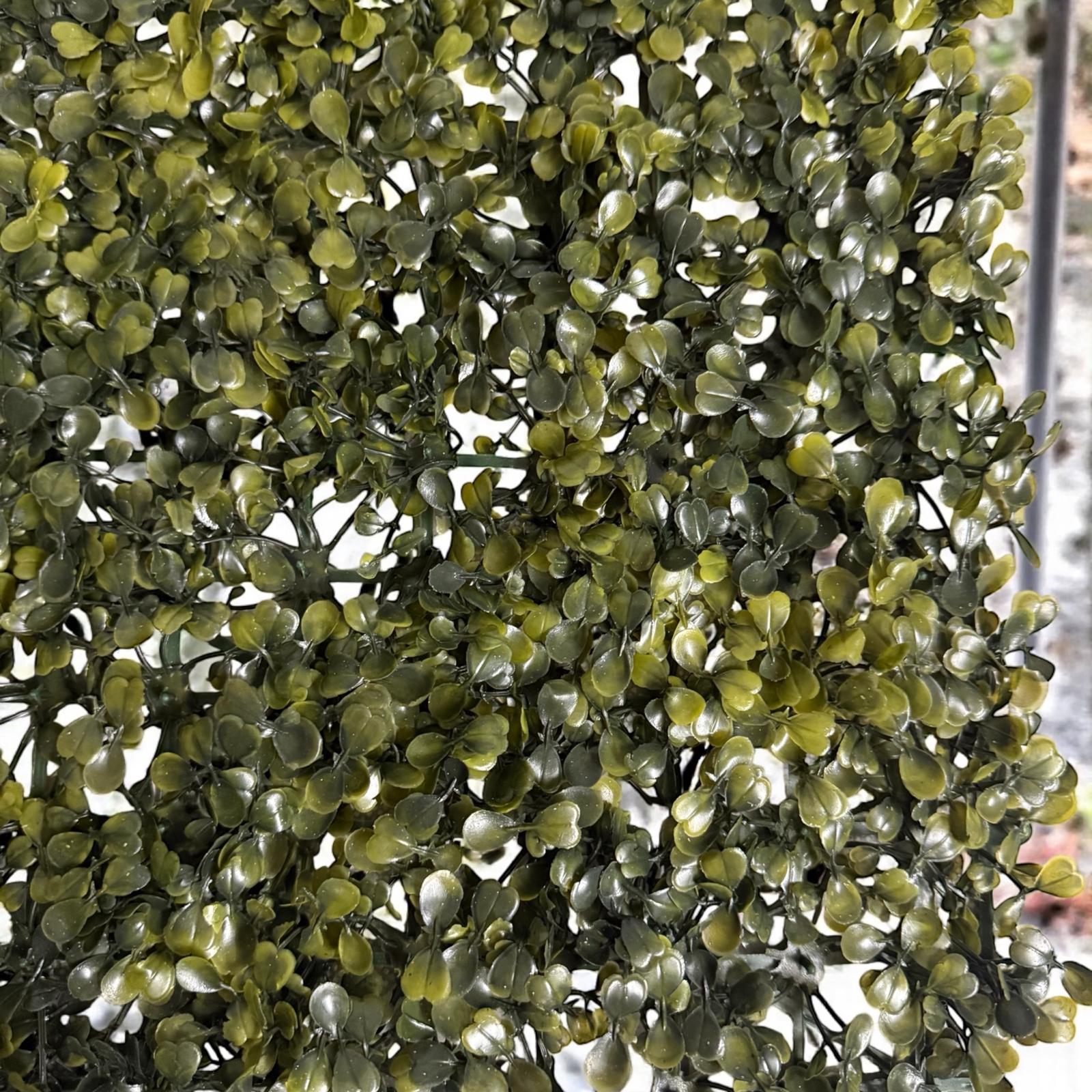 Paneles de pasto 40x60cm - Imagen 6