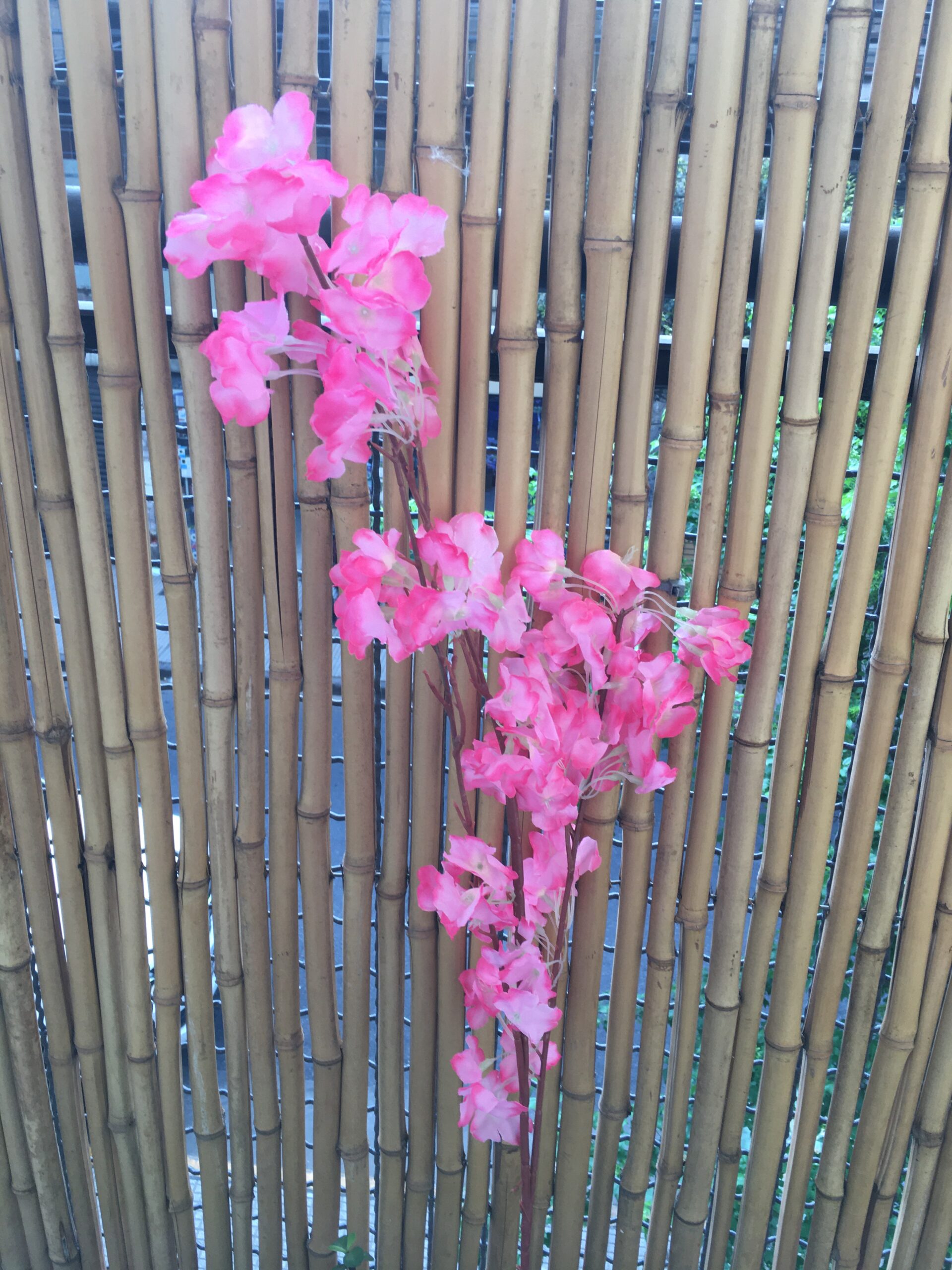 Flor de Cerezo - Imagen 2