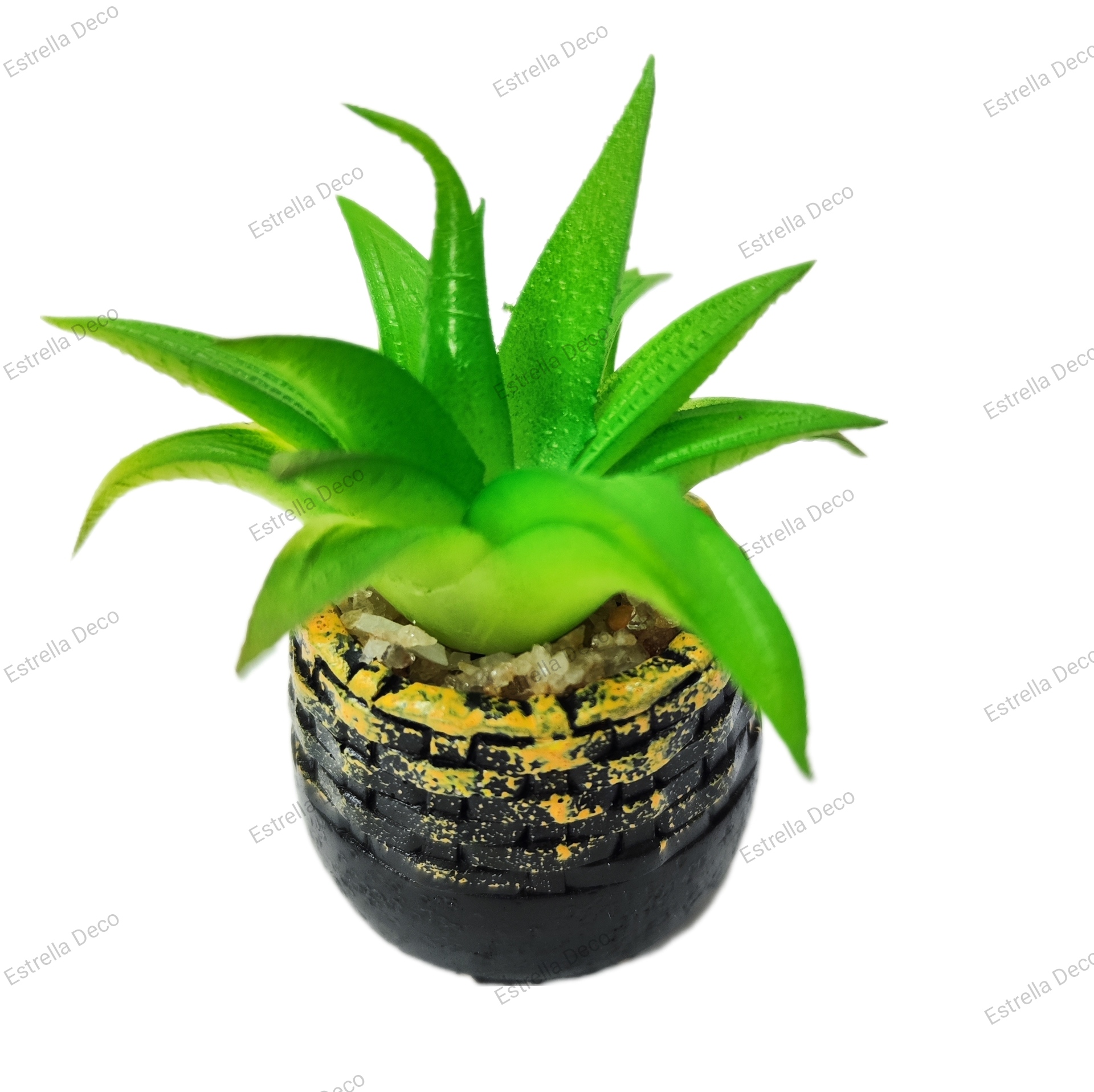 Maceta con suculenta - Imagen 4
