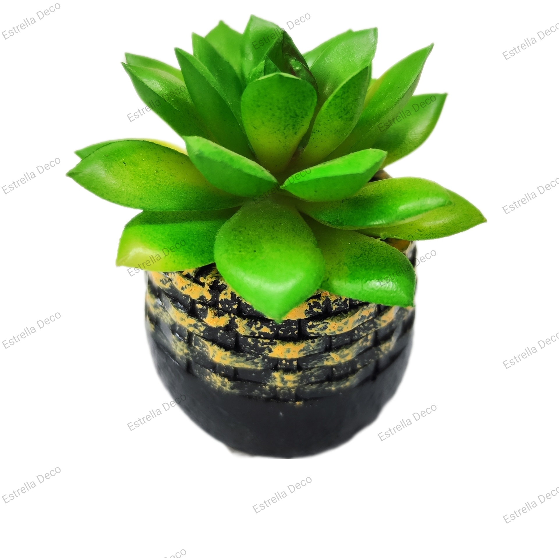 Maceta con suculenta - Imagen 2
