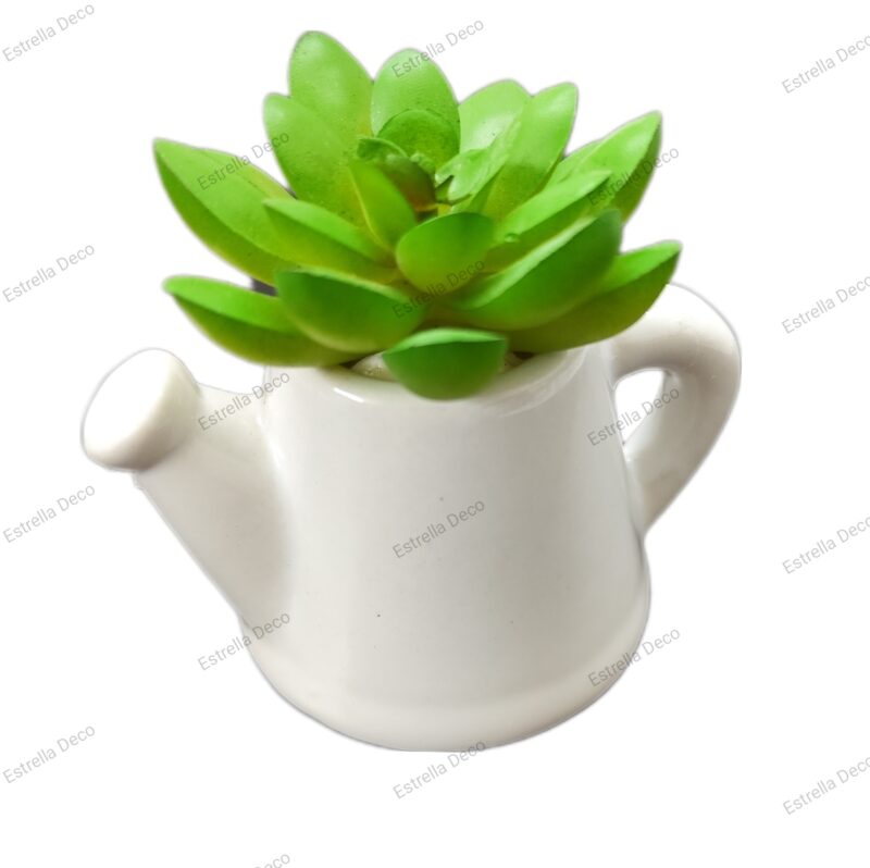 Regadera con suculenta - Imagen 2