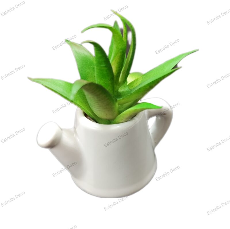 Regadera con suculenta - Imagen 6