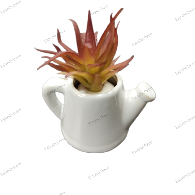 Regadera con suculenta - Imagen 4
