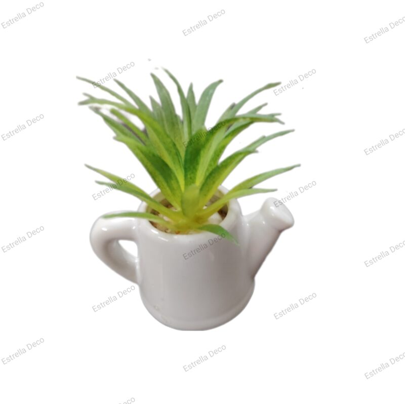 Regadera con suculenta - Imagen 3