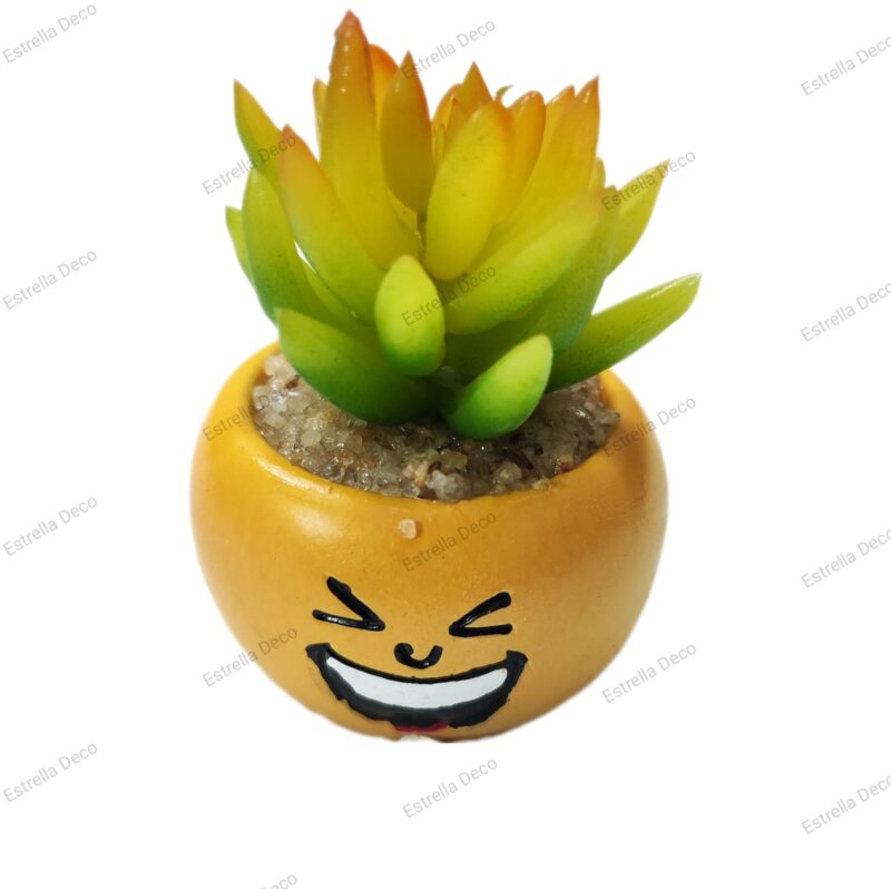 Maceta emoji - Imagen 6