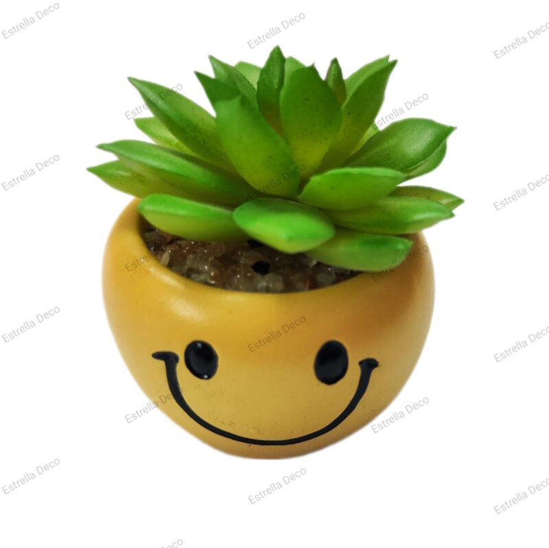 Maceta emoji - Imagen 7