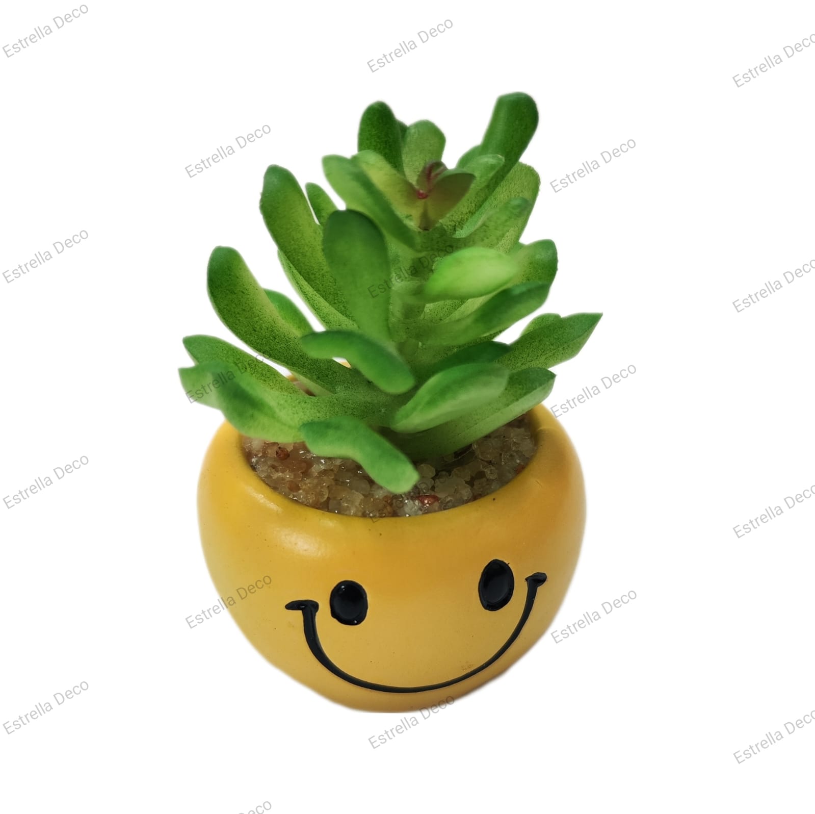 Maceta emoji - Imagen 9