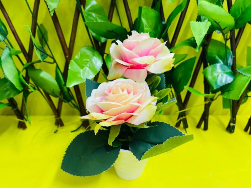 Maceta con rosas - Imagen 6