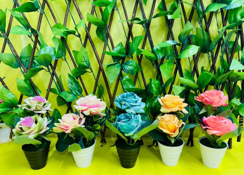 Maceta con rosas