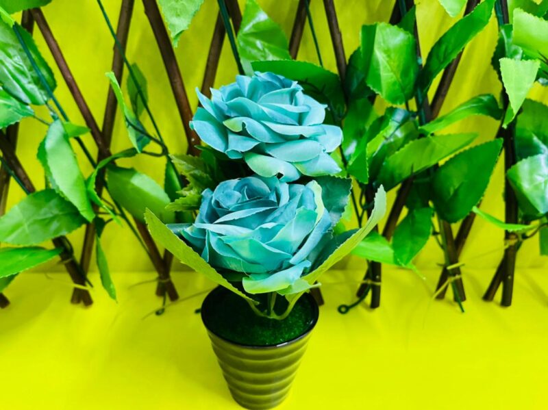 Maceta con rosas - Imagen 5