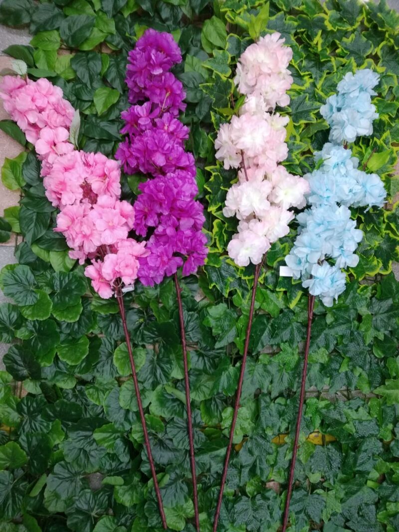 Flor de cerezo