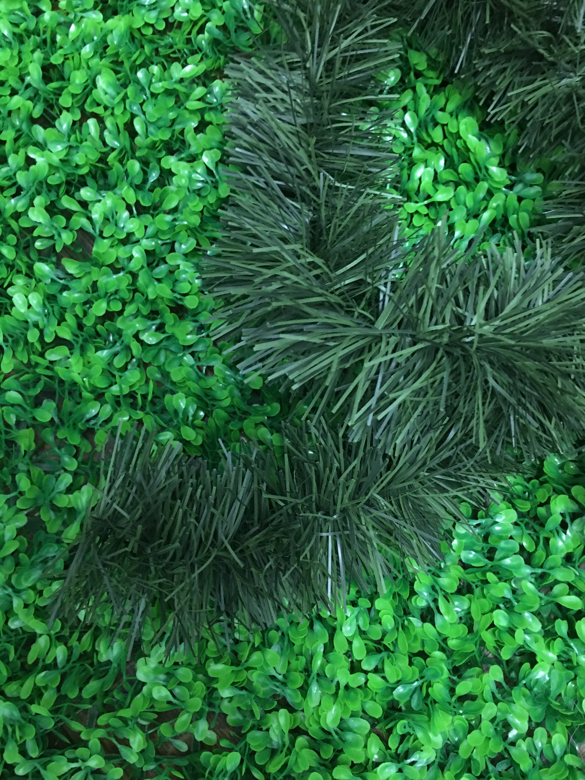 Boa verde - Imagen 2