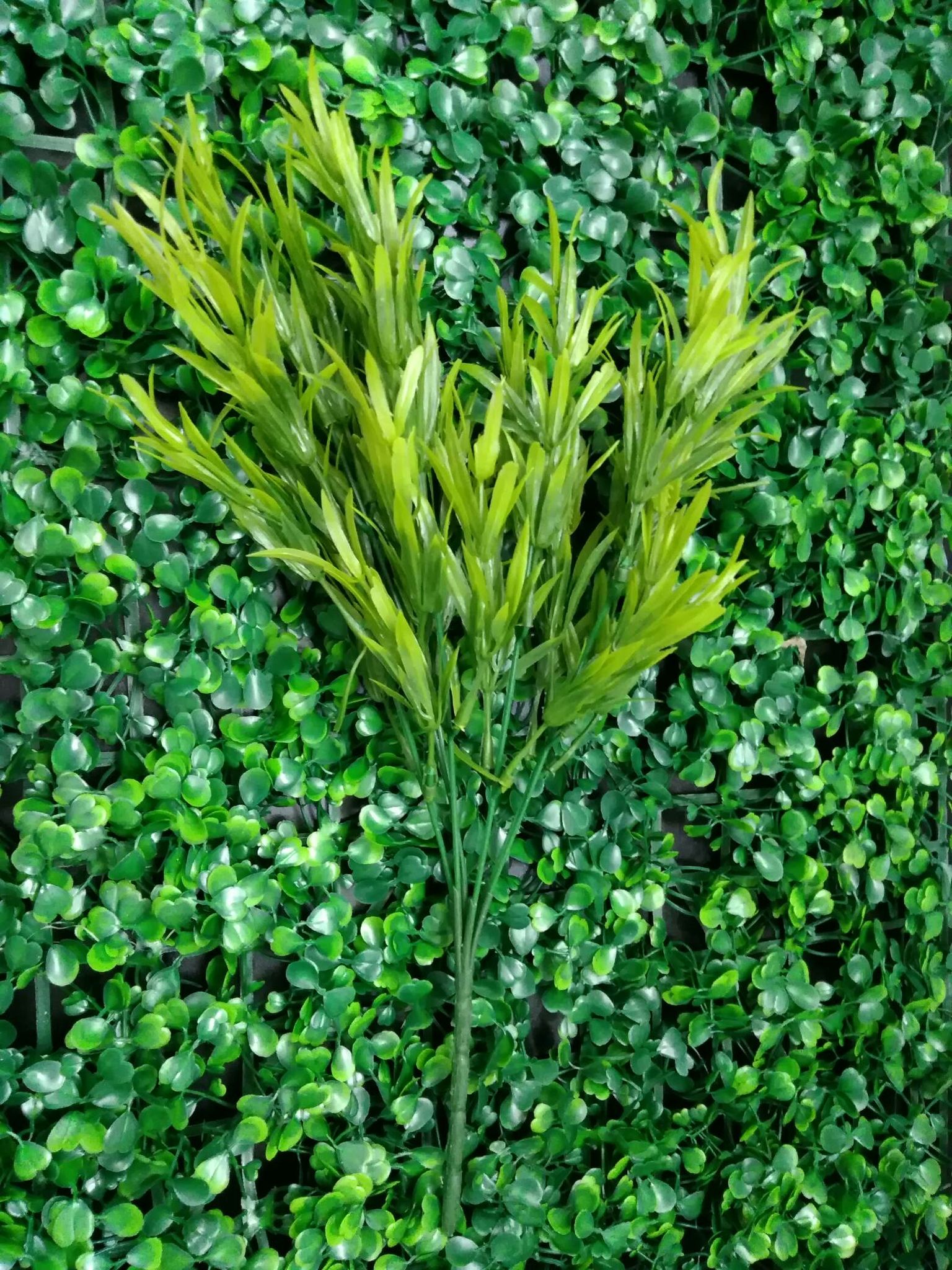 Ramo ornamental - Imagen 2