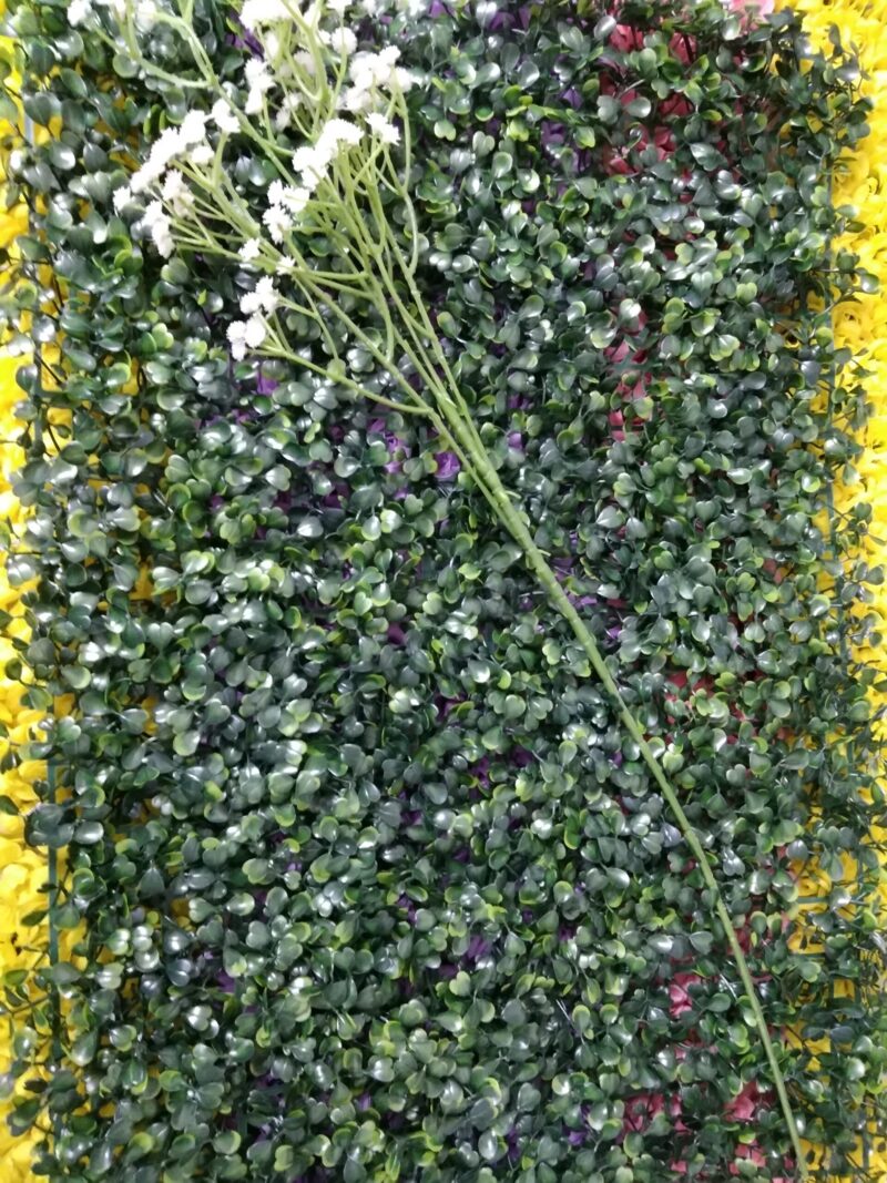 Vara de Gypsophila - Imagen 3