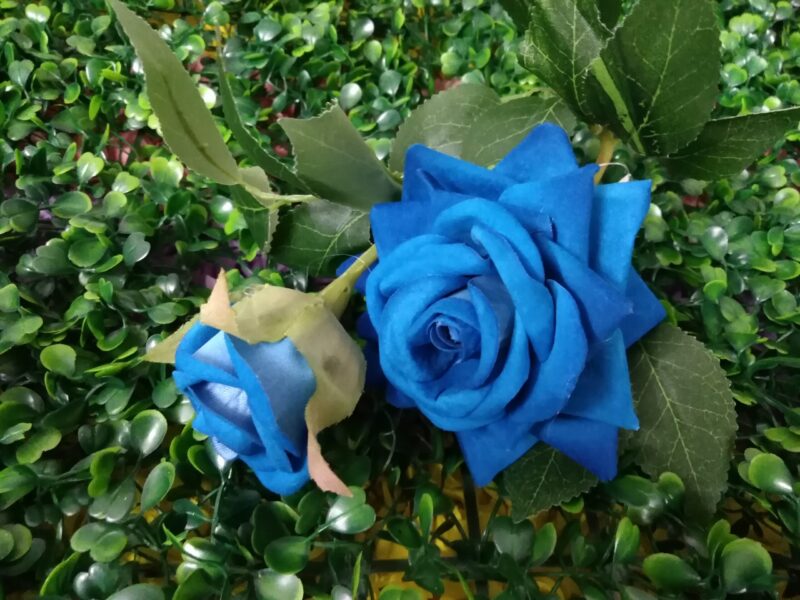 Rosa en vara - Imagen 3