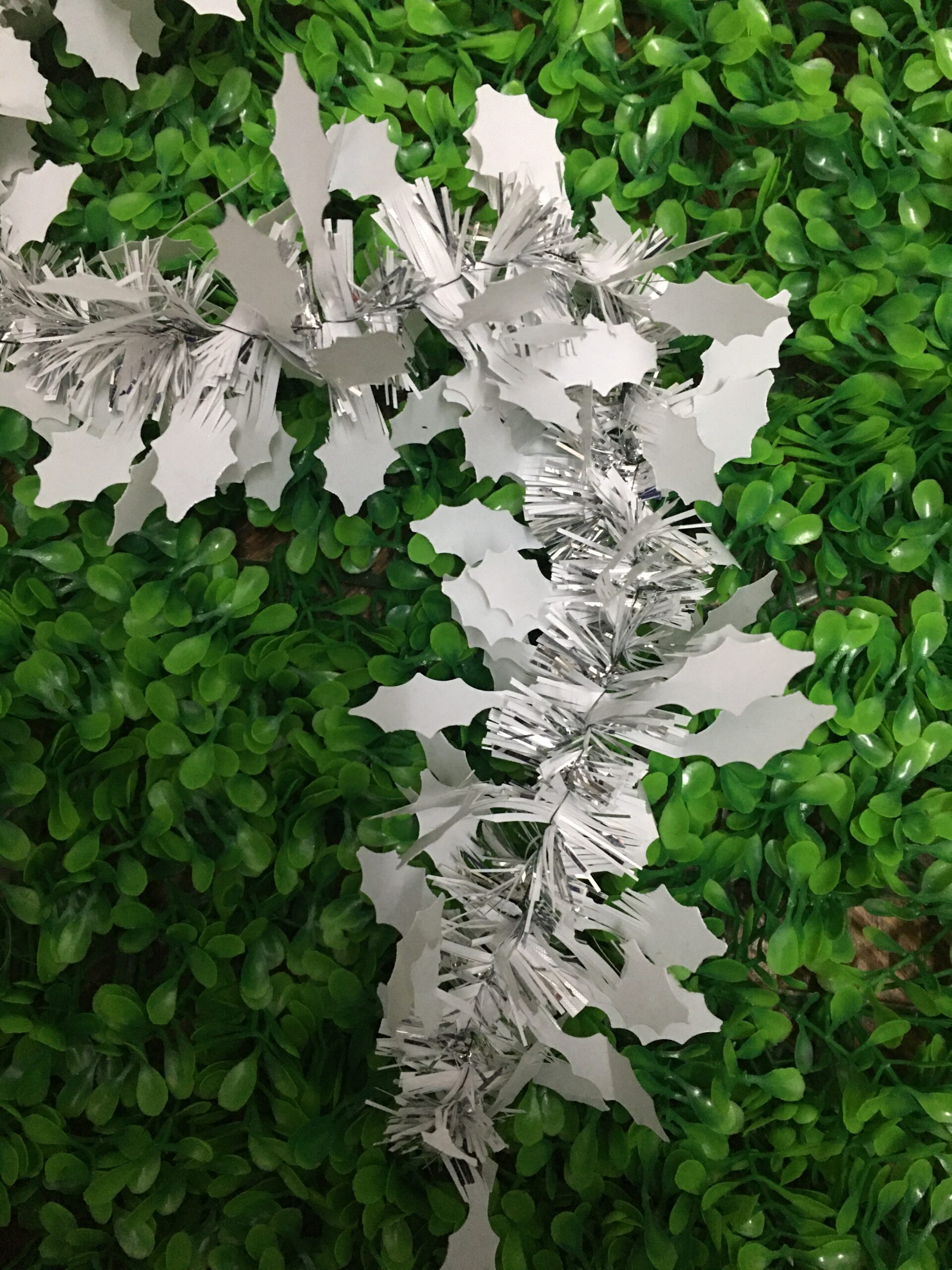 Boa fantasía - Imagen 2