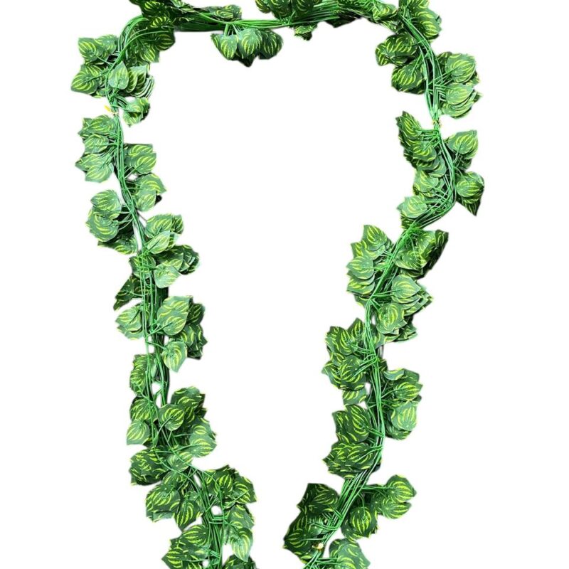 Pack x 12 Enredaderas de hojas chicas x 2.1m