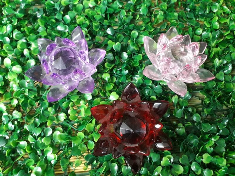 Flor de loto color