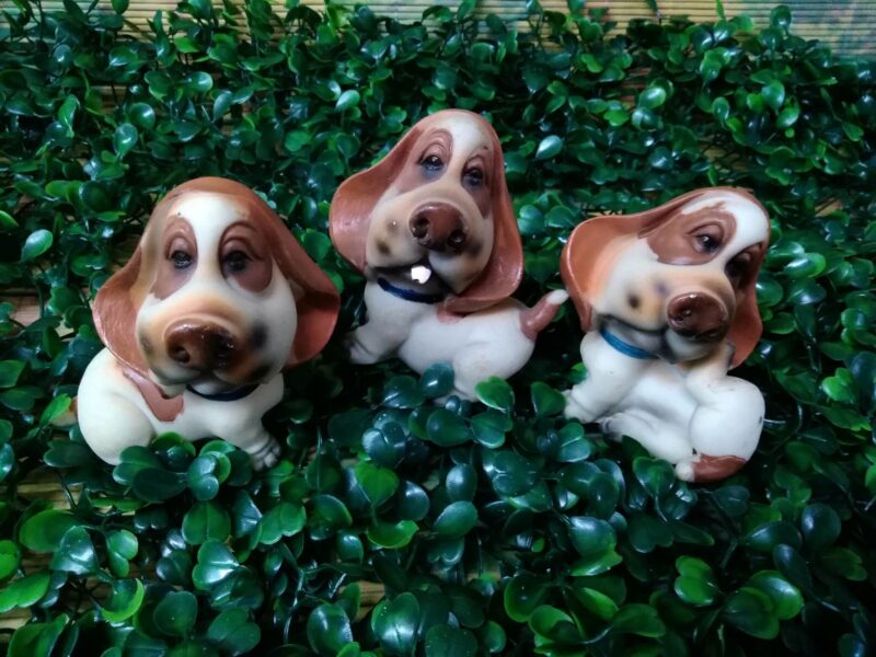 Perritos cariñosos