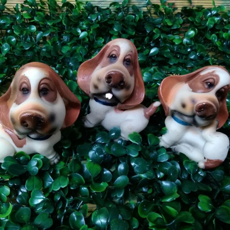 Perritos cariñosos