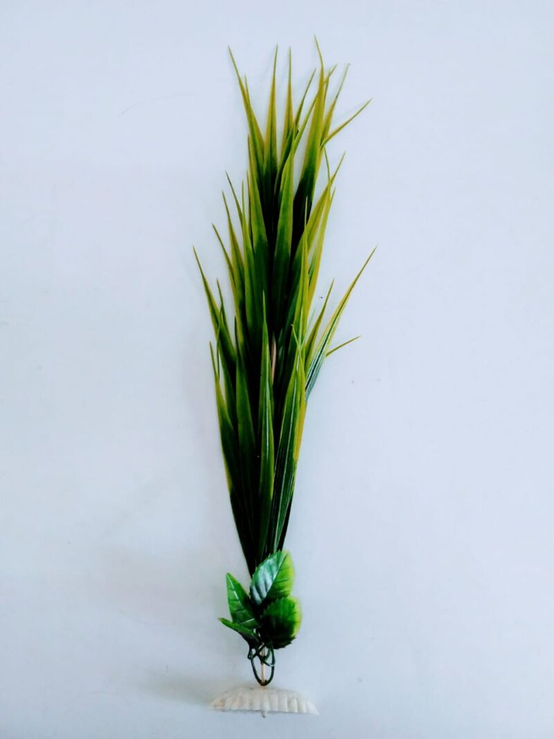 Planta para acuario