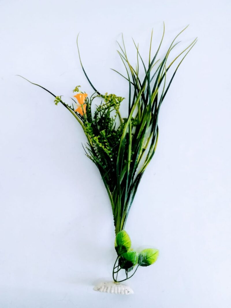 Planta para acuario