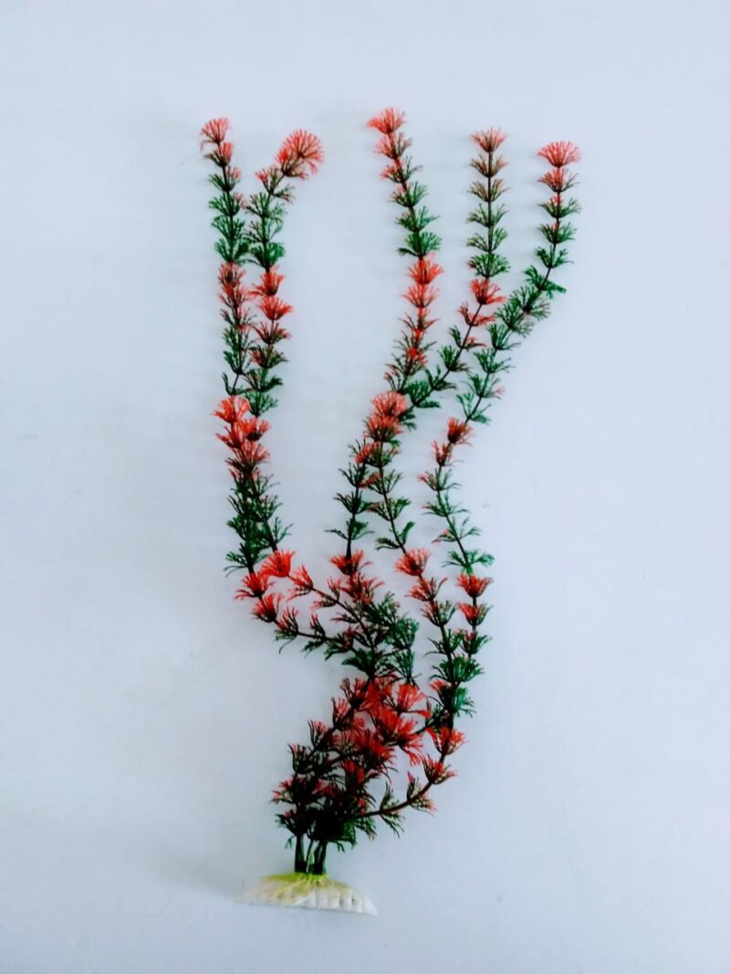 Planta para acuario