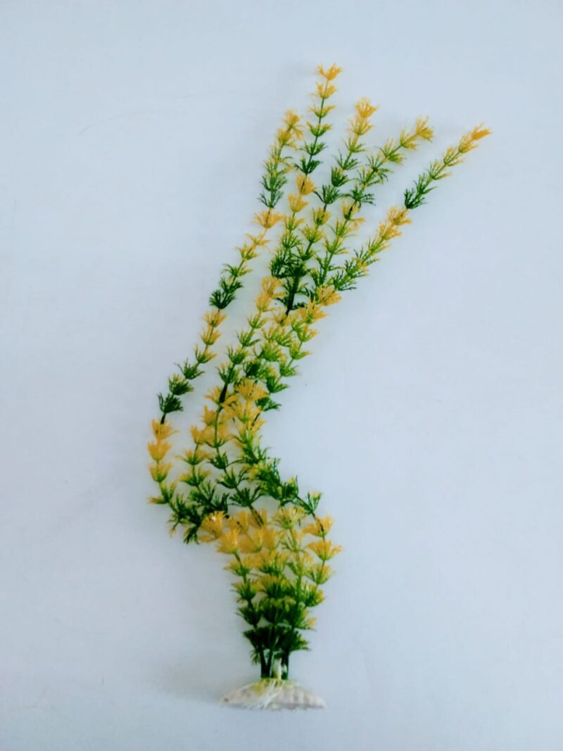 Planta para acuario