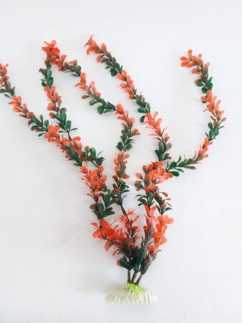Planta para acuario