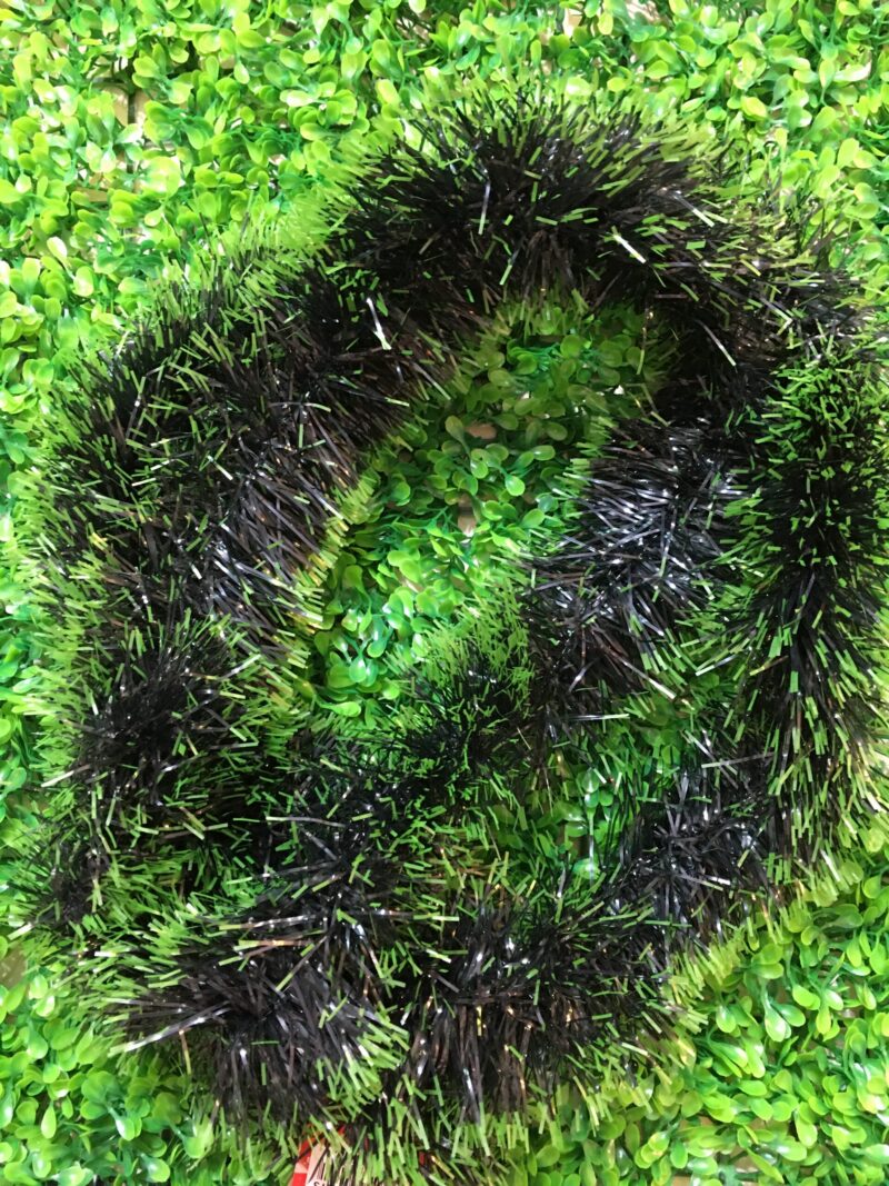 Boa verde