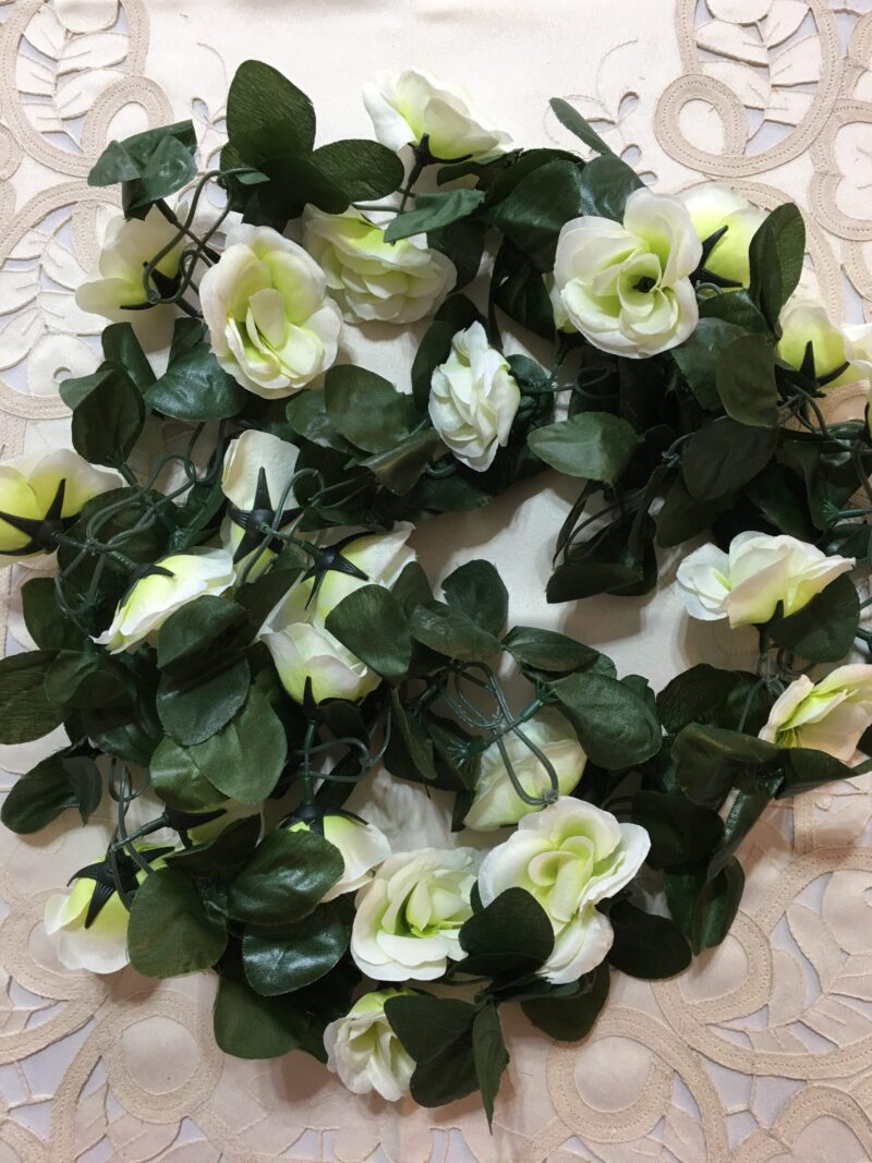 Guía de rosas - Imagen 4