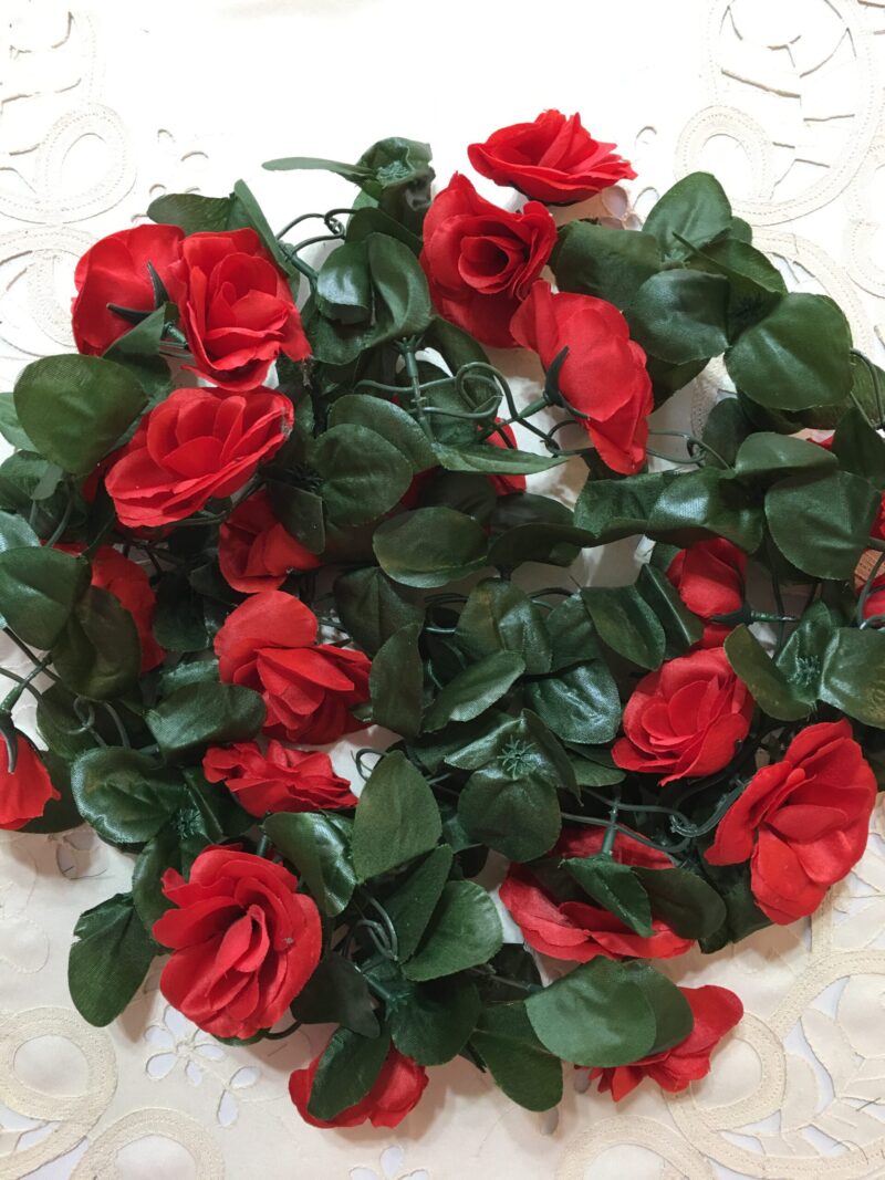 Guía de rosas - Imagen 3